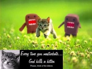 Domo-kuns chasing a kitten in a field of flowers; text: Every time you masturbate... god kills a kitten. Please think of the kittens