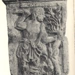 A man in a tunic uses a tool to shear branches from a tree; ESVS inscribed above him