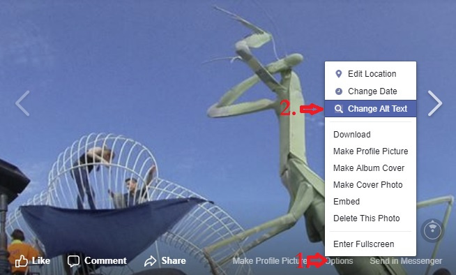 An arrow with a "1" points to the "options" menu on an image, and an arrow with a "2" points to the "change alt text" item on the menu that pops up.