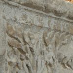 Angle shot with words TARVOS TRIGARANUS