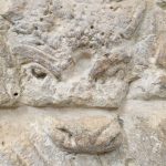 Detail of the bull's face, which stares right at you