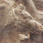 Detail on horse's head