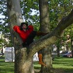 A man in a red shirt and leather boots lounges on a tree branch